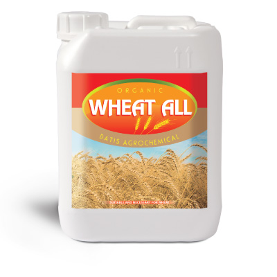 wheat-all