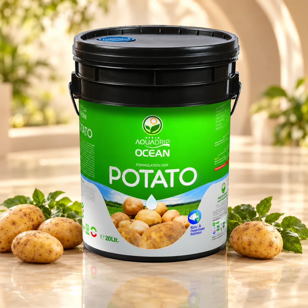کود POTATO DATIS AQUA DRIP OCEAN